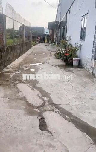 Bán đất xã Tân Hiệp Hóc Môn ngang rộng 16m (173)