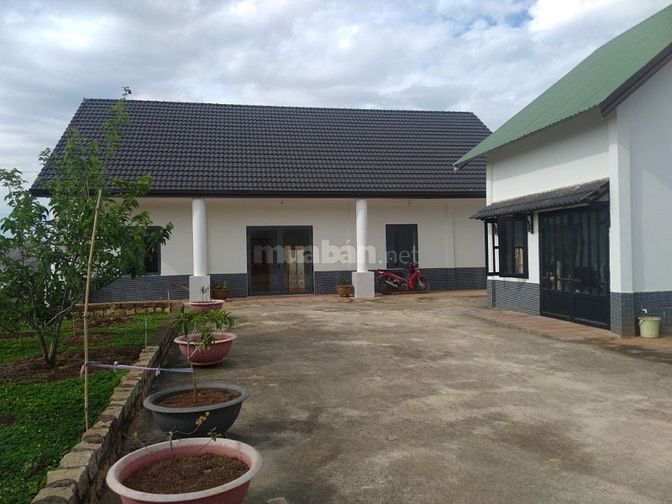 Biệt thự nghỉ dưỡng KP Thành Công, TDP Chi Lăng, TT Nam Ban, H.Lâ