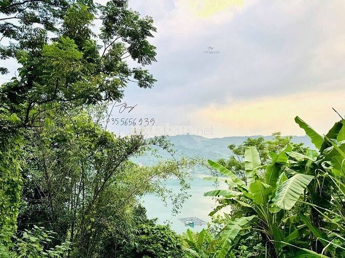 🌿🚀 HÀNG HIẾM ĐẤT VIEW HỒ TRỊ AN & THUNG LŨNG – 1500m² GIÁ 900 TRIỆU 🚀
