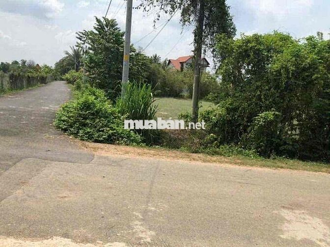 Bán đất 2 mặt tiền đường nhựa, vì ngợp ngân hàng