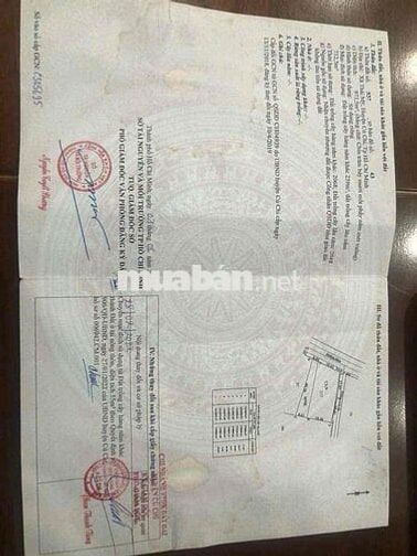 Bán đất 2 mặt tiền đường nhựa, vì ngợp ngân hàng