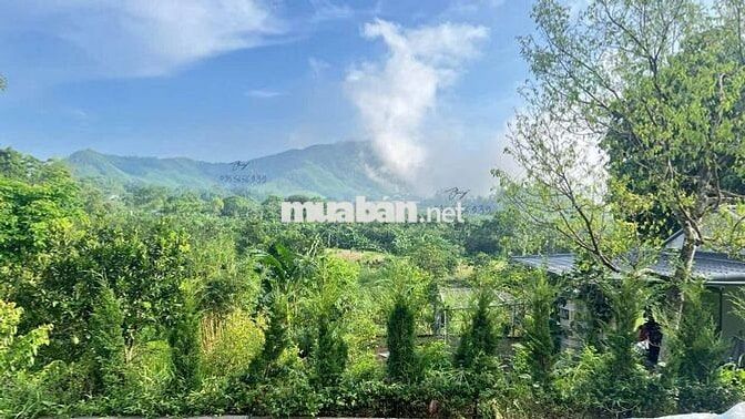 🌿🚀 HÀNG HIẾM ĐẤT VIEW HỒ TRỊ AN & THUNG LŨNG – 1500m² GIÁ 900 TRIỆU 🚀