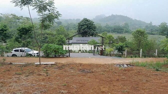 🌿🚀 HÀNG HIẾM ĐẤT VIEW HỒ TRỊ AN & THUNG LŨNG – 1500m² GIÁ 900 TRIỆU 🚀