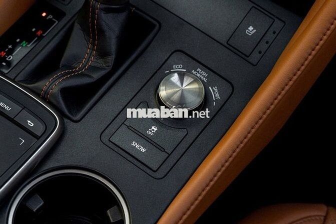 Lexus RC300T Model 2020 - 64.000 km