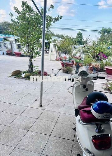 🌿 NHÀ VƯỜN MẶT TIỀN ĐT795 – VÀO Ở NGAY, CÓ TRÁI ĂN QUANH NĂM 🌿