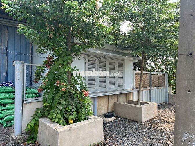Cho thuê kho mặt tiền tỉnh lộ 8 - củ chi