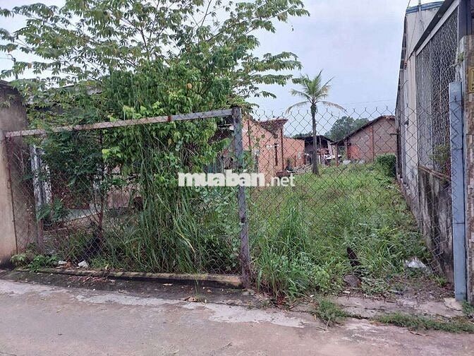 100m2 gần trục chính đường Lê Chí Dân, Thủ Dầu Một