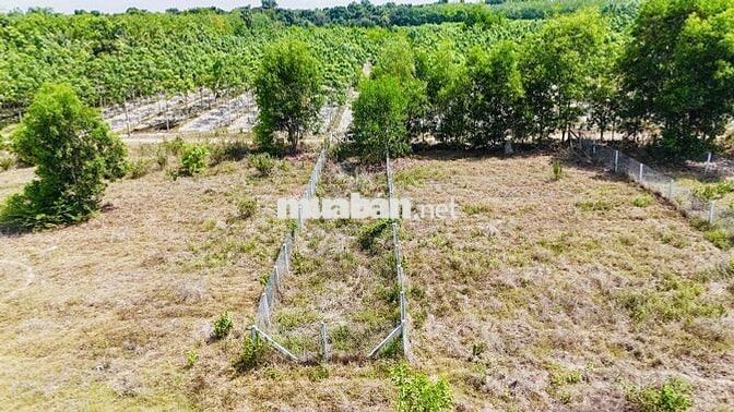 Đất full thổ cư cần bán gấp 5m x 31m - Tây Ninh