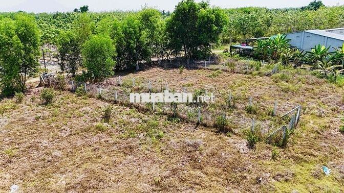 Đất full thổ cư cần bán gấp 5m x 31m - Tây Ninh