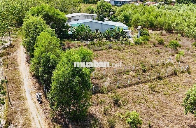 Đất full thổ cư cần bán gấp 5m x 31m - Tây Ninh