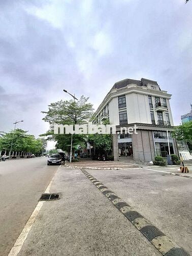 Bán đất đấu giá Thạch Bàn vỉa hè ô tô tránh kinh doanh cạnh Cổ Linh