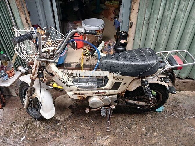 Honda Chaly màu Trắng