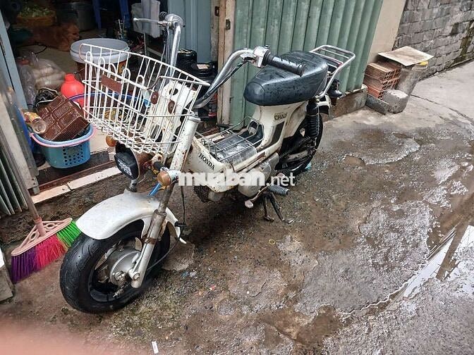Honda Chaly màu Trắng