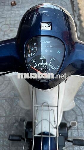 Cupindo Cup 50cc 2019 Xanh đen ( hỗ trợ góp )