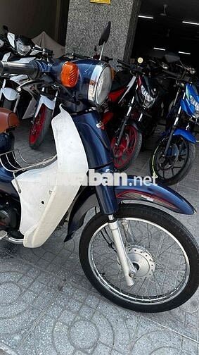 Cupindo Cup 50cc 2019 Xanh đen ( hỗ trợ góp )