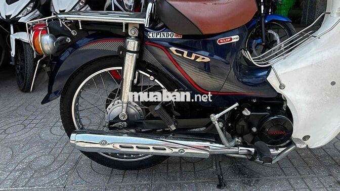 Cupindo Cup 50cc 2019 Xanh đen ( hỗ trợ góp )