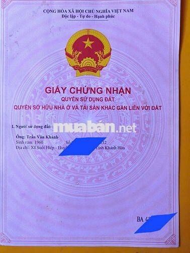 Bán hơn 6000 m đất trồng . oto và trụ điện lên tận đất giá chỉ 1 tỉ 3