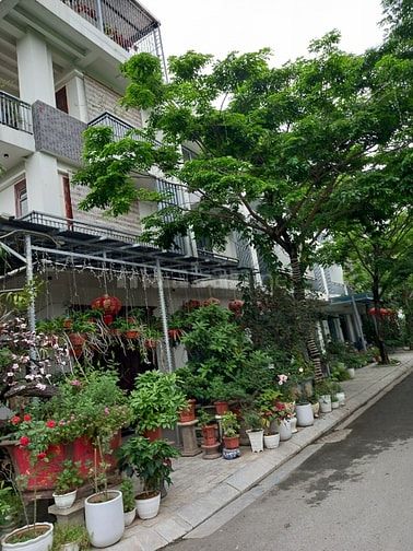 Cho thuê nhà liền kề thuộc dự án Park Home, C22, Bộ Công an