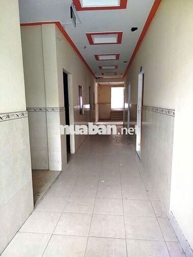 Cho Thuê Nhà Đường Hoàng Việt, Tân Bình ( 15x20m - KD TỰ DO )