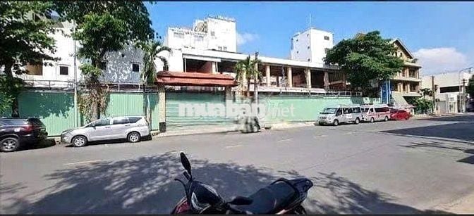 Cho Thuê Nhà Đường Hoàng Việt, Tân Bình ( 15x20m - KD TỰ DO )