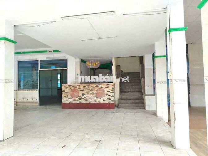 Cho Thuê Nhà Đường Hoàng Việt, Tân Bình ( 15x20m - KD TỰ DO )