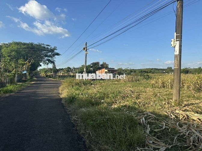 ĐẤT ĐẸP ĐƯỜNG NHỰA - GẦN CHỢ - GIÁ TỐT BÙ ĐỐP