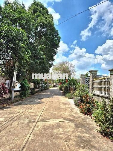 CHỦ NGỘP CẦN BÁN GẤP ĐẤT GIÁ RẺ