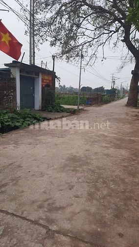 Cần bán gấp lô đất nông nghiệp 264m2 sát Đại Lộ Thăng Long đón sóng Và