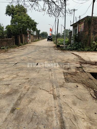 Cần bán gấp lô đất nông nghiệp 264m2 sát Đại Lộ Thăng Long đón sóng Và