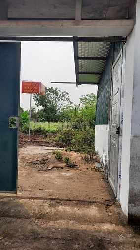 Cần bán gấp lô đất nông nghiệp 264m2 sát Đại Lộ Thăng Long đón sóng Và