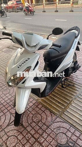 Yamaha Luvias 2012 màu Trắng