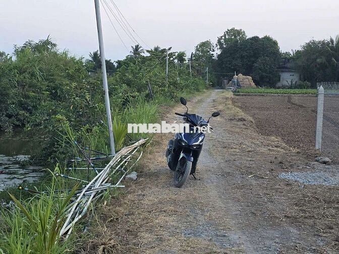 Đất gần biển, 8x50 (200 thổ), đường ôtô 