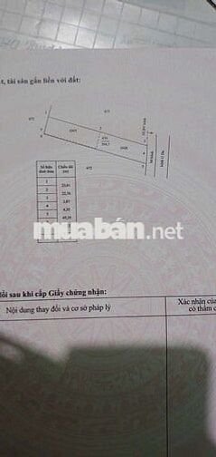 Đất gần biển, 8x50 (200 thổ), đường ôtô 