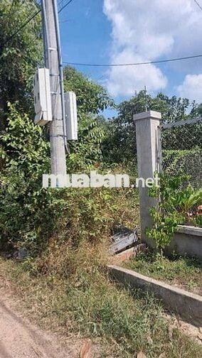 Kẹt tiền cần bán gấp - chính chủ