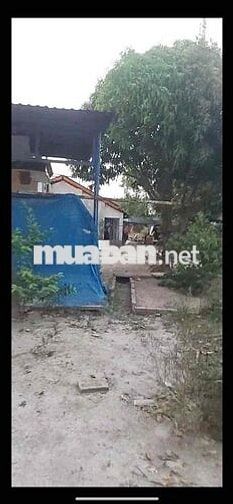 Đất mặt tiền An Phú 19 Thuận An đường xe công thông 34x95 nở hậu 35m.