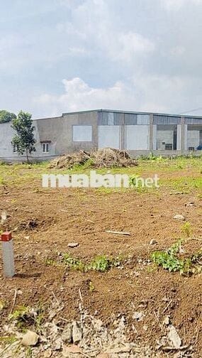 Cần Bán Đất thổ cư BRVT giá rẻ 