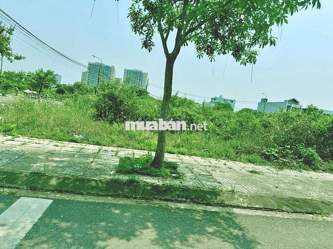Tôi chính chủ bán Trung Lập 16 không qua cò lái không bị đội giá