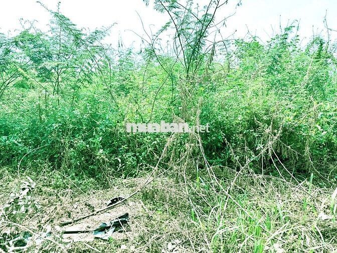 Tôi chính chủ bán Trung Lập 16 không qua cò lái không bị đội giá