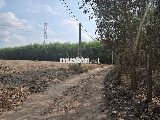 BÁN ĐẤT VƯỜN XUYÊN MỘC - LÔ GÓC 11.615M2 HẺM XE HƠI GIÁ CHỈ 5,5 TỶ