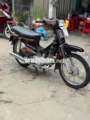 Honda Dream màu Tím