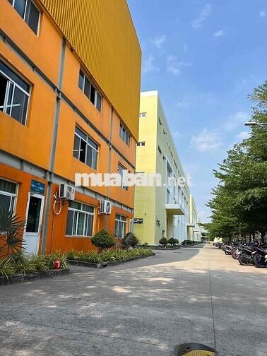 Miễn Phí Trọ Tháng Đầu - CTY Điện Tử KCN Bàu Bàng