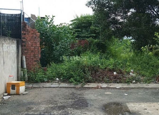 BÁN LÔ ĐẤT ĐƯỜNG 11 CÁT LÁI – 96M2 – HẺM Ô TÔ