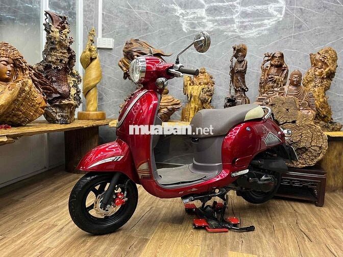 Scoopy 50cc đời 2023 chính chủ biển SG xe đẹp keng