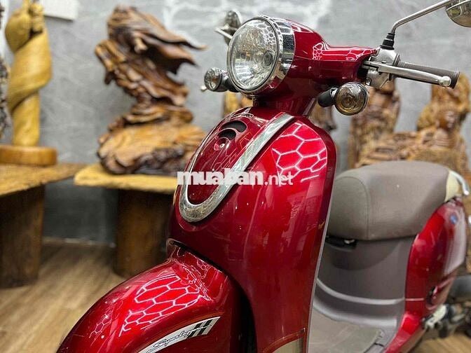 Scoopy 50cc đời 2023 chính chủ biển SG xe đẹp keng