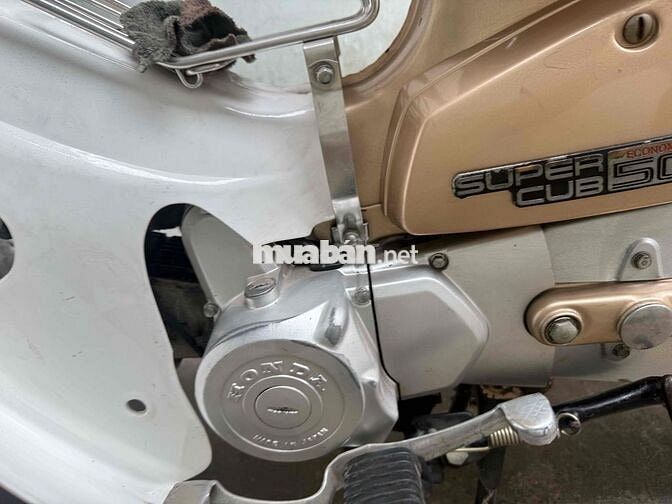 Honda Cub 50cc Vàng đồng, Trắng