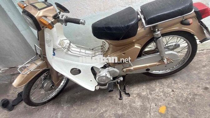 Honda Cub 50cc Vàng đồng, Trắng
