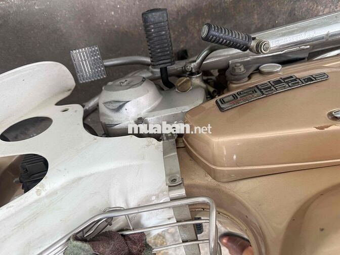 Honda Cub 50cc Vàng đồng, Trắng