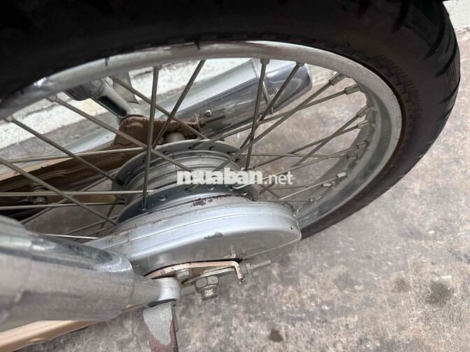 Honda Cub 50cc Vàng đồng, Trắng
