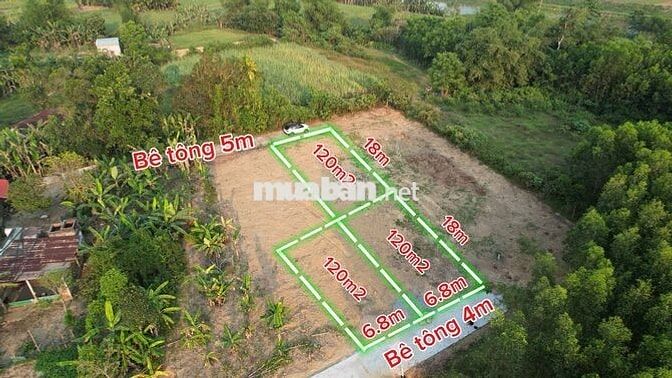 Cần bán nhanh block 3 nhà vườn giá rẻ nhất thị trường