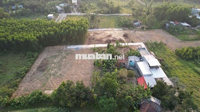 Cần bán nhanh block 3 nhà vườn giá rẻ nhất thị trường
